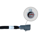 Chassis Adapter Harness, Ford Bed Delete, 2020-2024