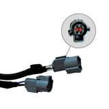 Chassis Adapter Harness, Ford Cab Chassis, 1999-2024